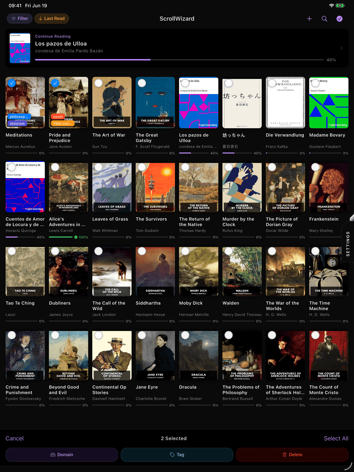 Selection mode with several books checked and the Tag / Domain / Delete action bar along the bottom
